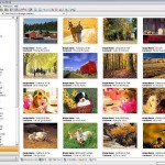 StudioLine PhotoBasic: Free Image Management Software