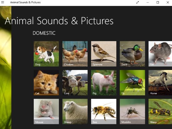 6 Free Windows 10 Animal Sound Apps for Kids