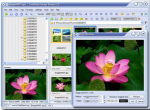 Download FastStone Image Viewer