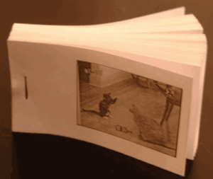 Flipbook