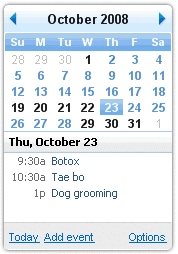 Calendar Google Desktop
