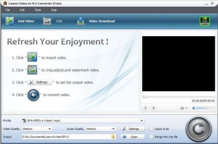 leawo free video to flv converter