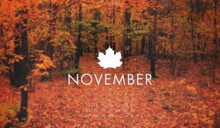 desktop wallpaper calendar November SM