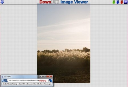 Image downloader download images free DownIMG