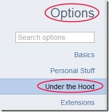 Chrome Under The Hood option
