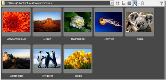picture browser Optimized-pie_image_viewer_thumbnails