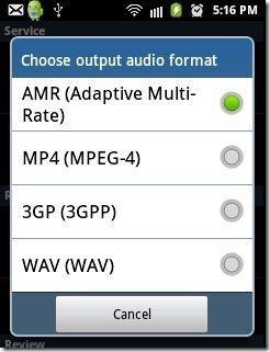 Record My Call Audio Formats