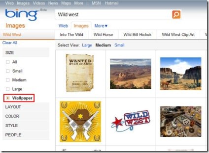 Bing Images 001