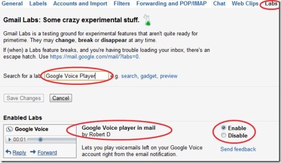 Gmail Google Voice Option