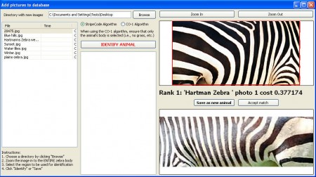 StripeSpotter zebra identified