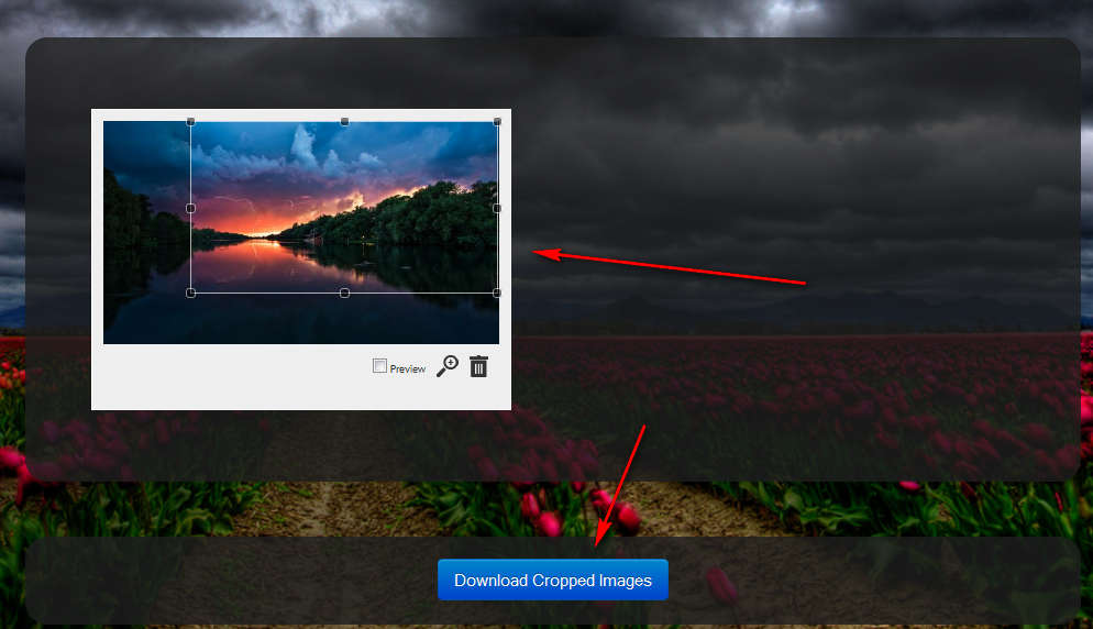 Free Online Image Cropping Service Croppola
