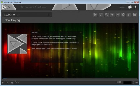 Grooveshark Downloader default window