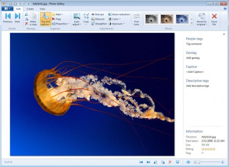 Windows Live Essentials 2012 Photo Maker editing