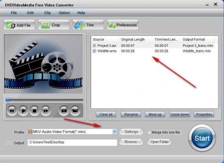 DVDVideoMedia Free Video Converter added files setting