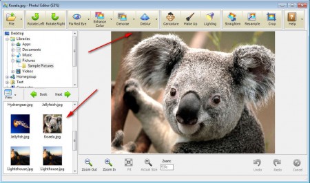 Photo Editor koala editing