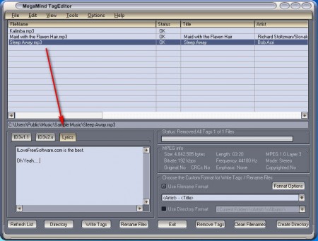 MegaMind TagEditor adding lyrics