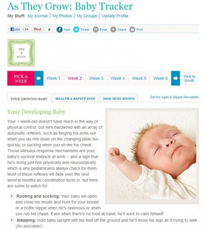 Baby Development Tracker default window
