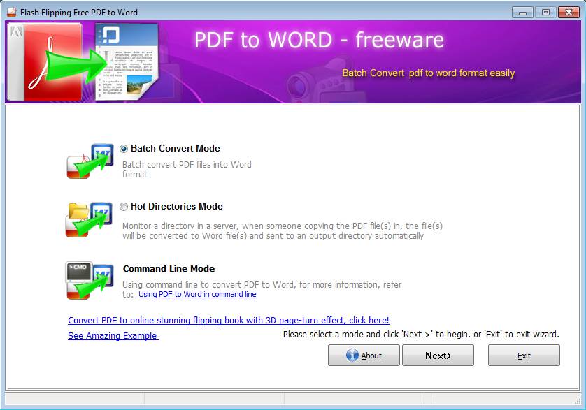 Flash Flipping Free PDF to Word default window