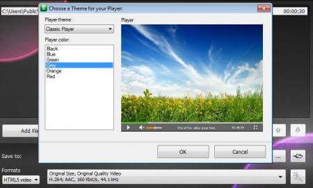 HTML5 Video and Player Converter themes and quality