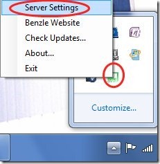Wireless Remote Mouse Server settings