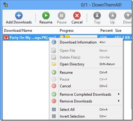 DownThemAll! 02 manage your download
