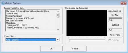 Freemore Video To GIF Converter output options