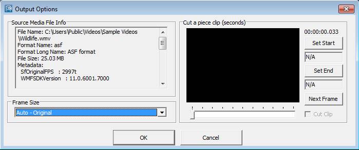 Freemore Video To GIF Converter output options