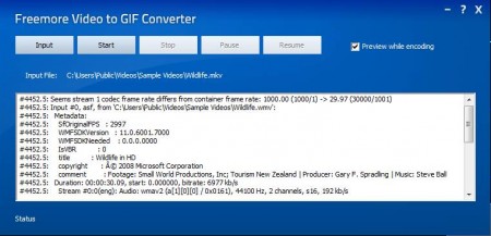 Freemore Video to GIF Converter starting conversion