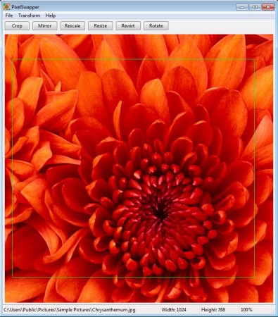 PixelSwapper cropping image