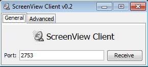 ScreenView client setup