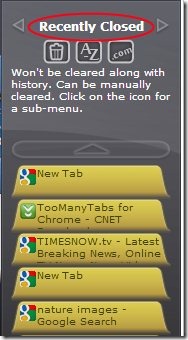TooManyTabs 04 Tabs Manager