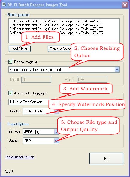 Batch Process Images Tool options