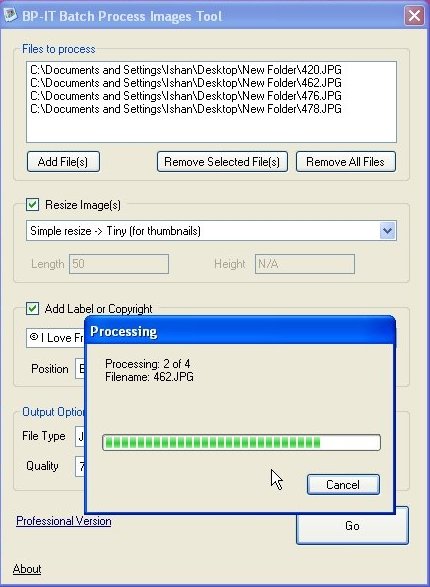 Batch Process Images Tool processing