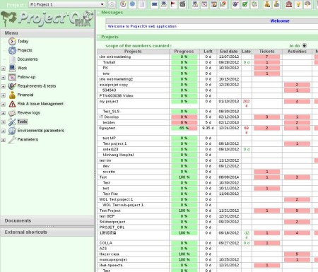 Project'Or RIA default window