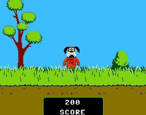 duck hunt