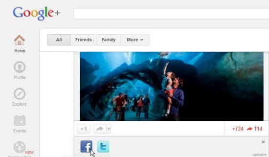extended share for google plus interface