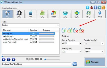 FSS Audio Converter added files