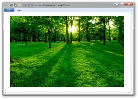 Image Viewer open image