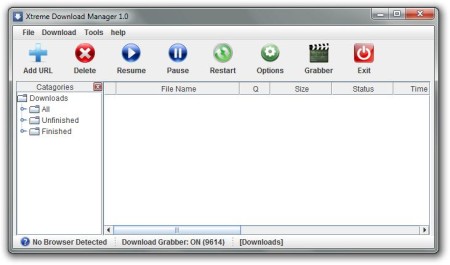 free Download Manager default window