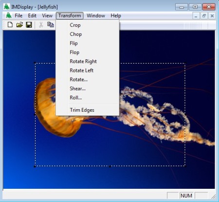 GraphicsMagick transform options