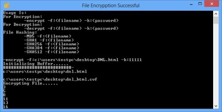 Console Vault encrypting file