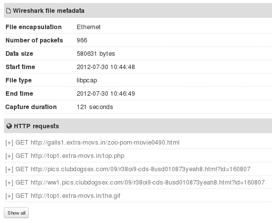 PCAP Analyzer default window