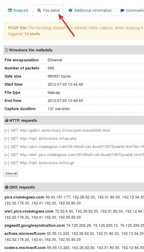 PCAP Analyzer report tab file detaile