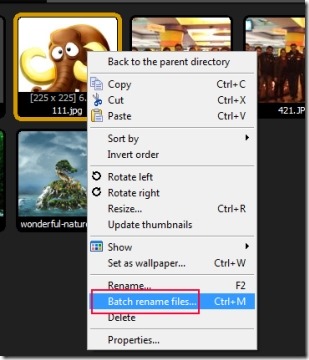 Viu 2 windows image viewer 03