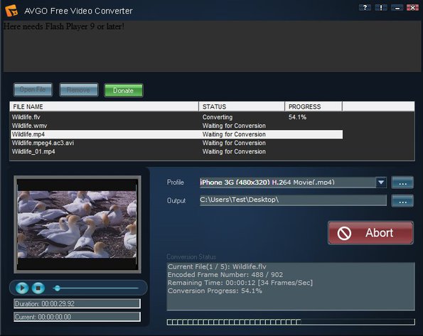 AVGO Free Video Converter conversion working