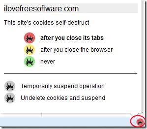 Self Destructing Cookies 01 automatically delete cookies