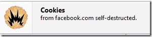 Self Destructing Cookies 02 automatically delete cookies