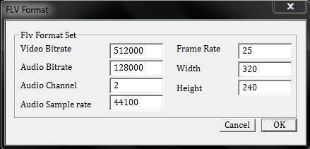 Video Painter To FLV flv settings