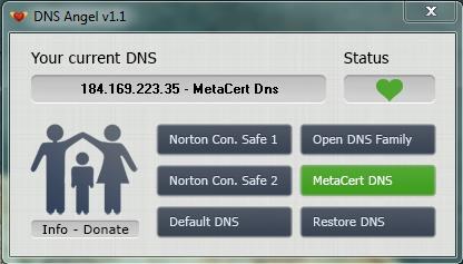 DNS Angel interface 01