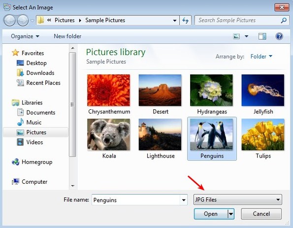 ImageViever file selection